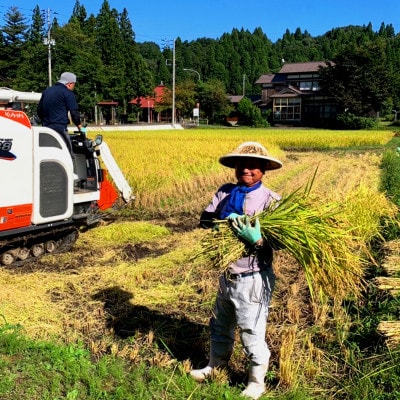 【無洗米・令和5年産】新潟県奥阿賀産こしひかり5kg