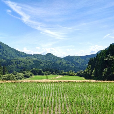【無洗米・令和5年産】新潟県奥阿賀産こしひかり5kg