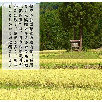 【毎月定期便】上旬こしひかり10kg 全3回