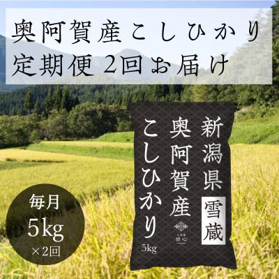 【発送月固定定期便】新潟県奥阿賀産こしひかり 精米5kg全2回