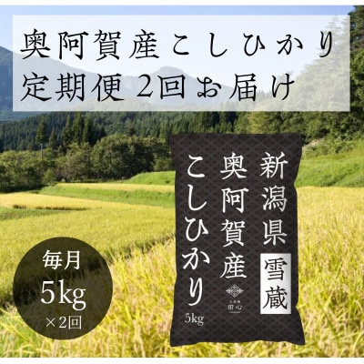 【発送月固定定期便】新潟県奥阿賀産こしひかり 精米5kg全2回