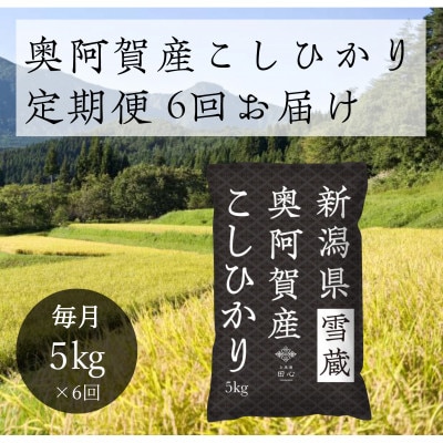 【発送月固定定期便】新潟県奥阿賀産こしひかり 精米5kg全6回