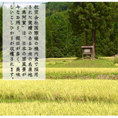 【発送月固定定期便】新潟県奥阿賀産こしひかり 精米5kg全6回