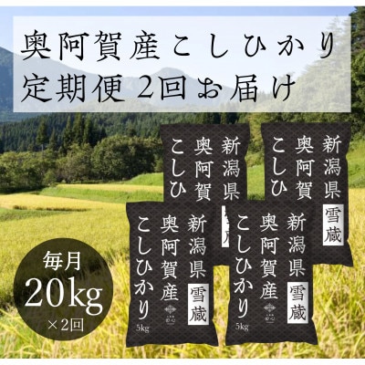 【発送月固定定期便】新潟県奥阿賀産こしひかり 精米20kg全2回