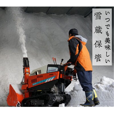 【発送月固定定期便】新潟県奥阿賀産こしひかり 精米25kg全2回