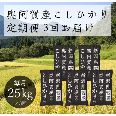 【発送月固定定期便】新潟県奥阿賀産こしひかり 精米25kg全3回