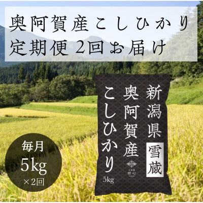 【発送月固定定期便】新潟県奥阿賀産こしひかり 精米 5kg全2回