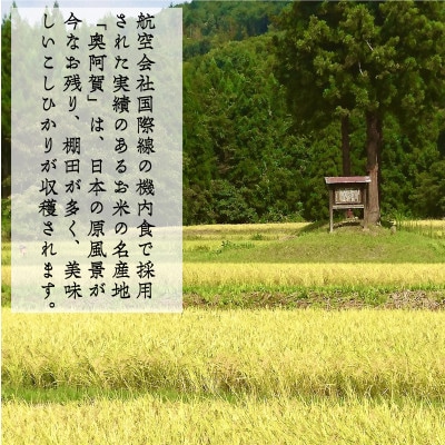 【発送月固定定期便】新潟県奥阿賀産こしひかり 精米 5kg全2回