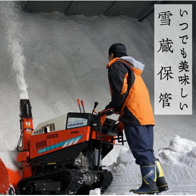 【発送月固定定期便】新潟県奥阿賀産こしひかり 精米 5kg全2回