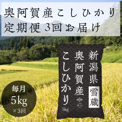 【発送月固定定期便】新潟県奥阿賀産こしひかり 精米 5kg全3回