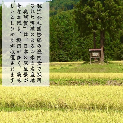 【発送月固定定期便】新潟県奥阿賀産こしひかり 精米 5kg全3回