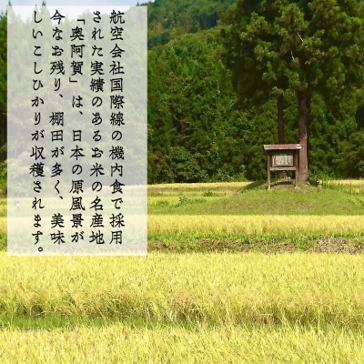 【発送月固定定期便】新潟県奥阿賀産こしひかり 精米 5kg全6回
