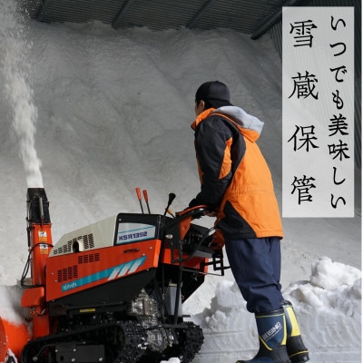 【発送月固定定期便】新潟県奥阿賀産こしひかり 精米 5kg全6回