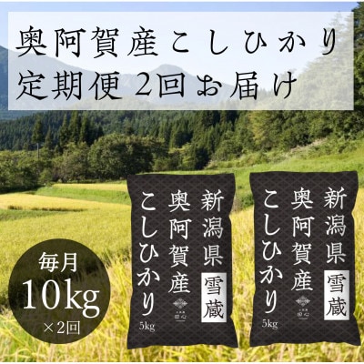 【発送月固定定期便】新潟県奥阿賀産こしひかり 精米 10kg(5kg×2)全2回
