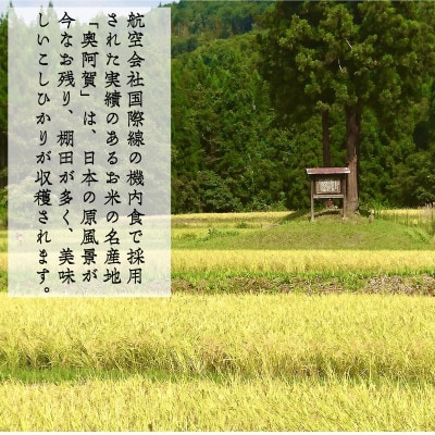 【発送月固定定期便】新潟県奥阿賀産こしひかり 精米 10kg(5kg×2)全2回