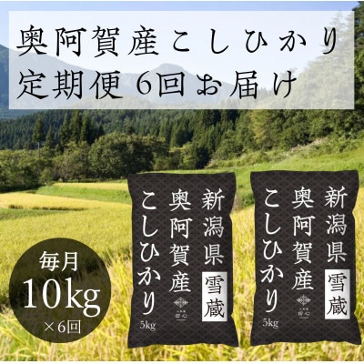 【発送月固定定期便】新潟県奥阿賀産こしひかり 精米 10kg(5kg×2)全6回