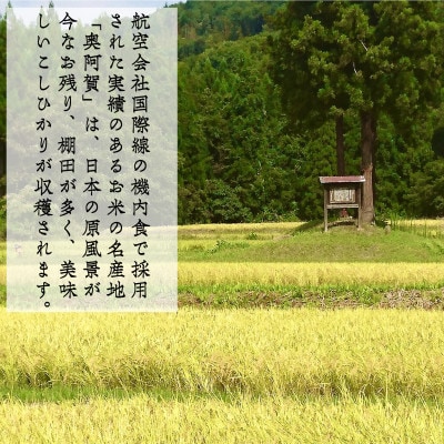 【発送月固定定期便】新潟県奥阿賀産こしひかり 精米 10kg(5kg×2)全6回
