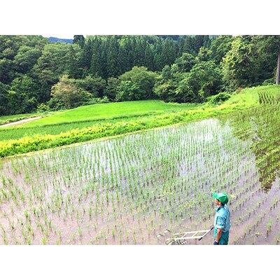 2019年10月発送開始『定期便』新潟県奥阿賀産こしひかり5kg【越後ファーム】全10回