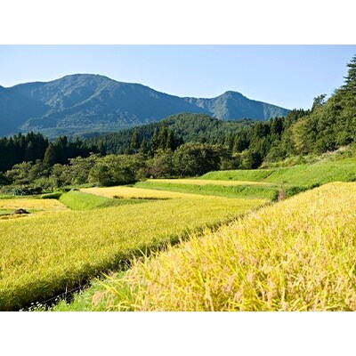 2021年1月発送開始『定期便』新潟県奥阿賀産こしひかり7kg【越後ファーム】全3回