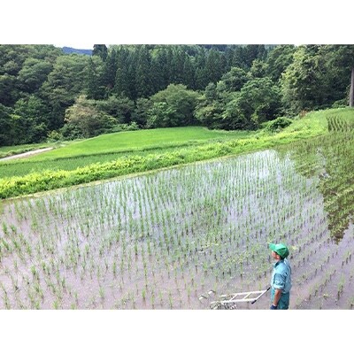 2021年2月発送開始『定期便』新潟県奥阿賀産こしひかり21kg【越後ファーム】全8回