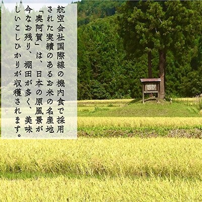 2021年11月発送開始『定期便』新潟県奥阿賀産こしひかり5kg精米毎月お届け全5回