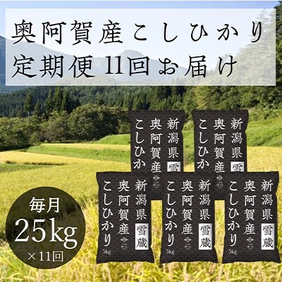 2021年11月発送開始『定期便』新潟県奥阿賀産こしひかり25kg　精米毎月お届け全11回