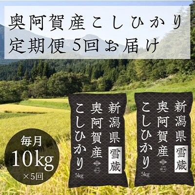 2021年12月発送開始『定期便』新潟県奥阿賀産こしひかり10kg 精米毎月お届け全5回