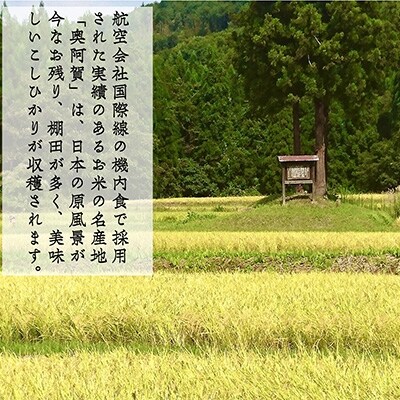 2022年1月発送開始『定期便』新潟県奥阿賀産こしひかり20kg(5kg×4)精米毎月お届け全8回