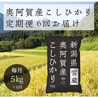 2023年1月発送開始『定期便』新潟県奥阿賀産こしひかり5kg精米毎月お届け全6回