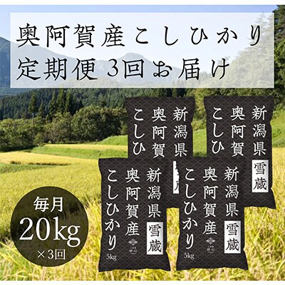 2023年1月発送開始『定期便』新潟県奥阿賀産こしひかり20kg(5kg×4)精米毎月お届け全3回
