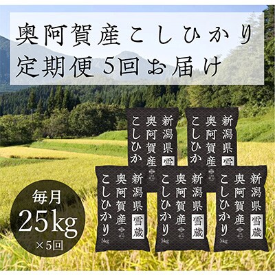 2023年2月発送開始『定期便』新潟県奥阿賀産こしひかり25kg(5kg×5)精米毎月お届け全5回