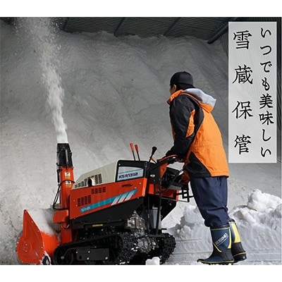 2023年2月発送開始『定期便』新潟県奥阿賀産こしひかり20kg(5kg×4)精米毎月お届け全7回