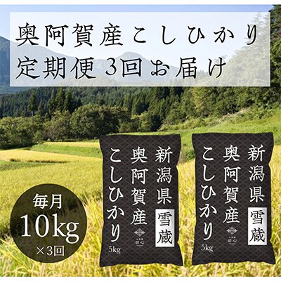 2023年2月発送開始『定期便』新潟県奥阿賀産こしひかり10kg(5kg×2)精米毎月お届け全3回