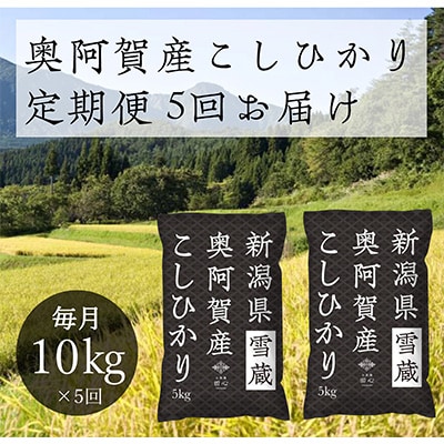 2023年2月発送開始『定期便』新潟県奥阿賀産こしひかり10kg(5kg×2)精米毎月お届け全5回