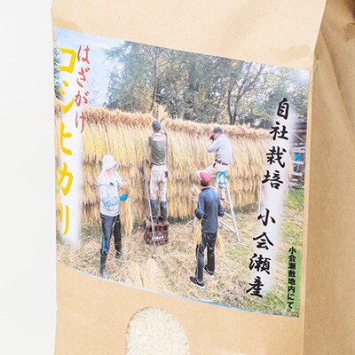 越後奥阿賀産はざがけ(天日干し)コシヒカリ