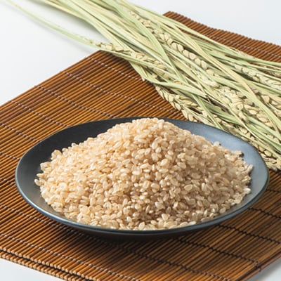 小会瀬のお米「はざがけコシヒカリ」玄米　5kg