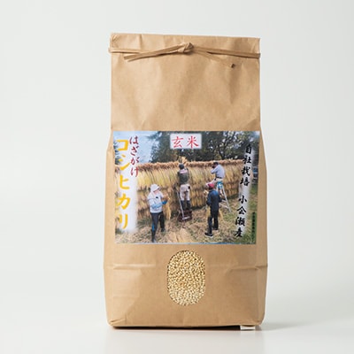 小会瀬のお米「はざがけコシヒカリ」玄米　5kg