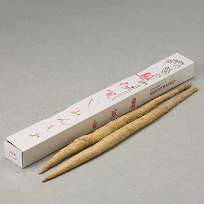 奥阿賀じねんじょ　1.5kg箱入り