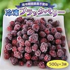 冷凍ブラックベリー(500g×3袋)