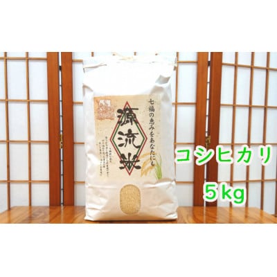 【令和5年産】　源流米(5kg)　～七福の恵をあなたにも～