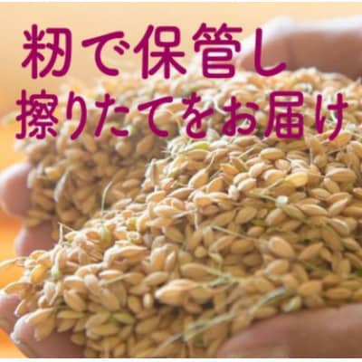 【発送月固定定期便】【2025年9月下旬より順次発送】新潟県こしひかり『奥阿賀仁一郎』10kg全3回