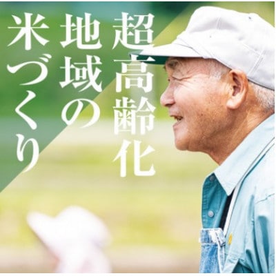 【発送月固定定期便】【2025年9月下旬より順次発送】新潟県こしひかり『奥阿賀仁一郎』10kg全3回