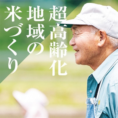 【毎月定期便】【上旬より発送】新潟県こしひかり『奥阿賀仁一郎』 籾保管・発送直前精米 10kg全4回
