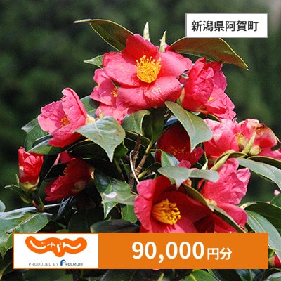 【じゃらんふるさと納税クーポン】 新潟県阿賀町でつかえる90,000円 クーポン