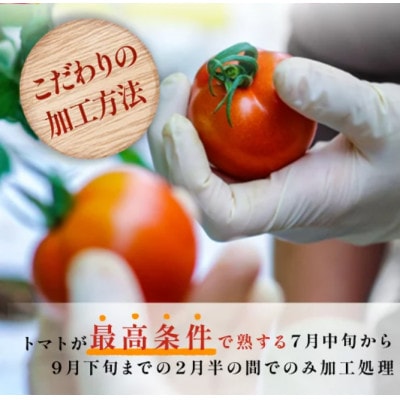 大雪山完熟トマト100%の濃厚　トマトジュース【有塩】1000ml(6本)×2箱 SA913