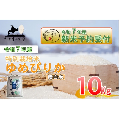 令和7年産新米予約 たかすのお米 特別栽培米 ゆめぴりか 10kg(精白米) | ふるさと納税のお礼品