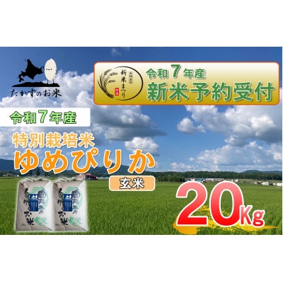 令和7年産新米予約 たかすのお米 特別栽培米 ゆめぴりか 玄米 20kg(10kg×2)