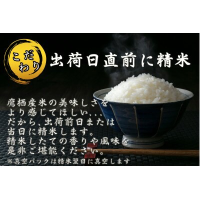 令和6年産受付開始「ゆめぴりか&ななつぼし」食べ比べセット 各10kg(精白米) SA228