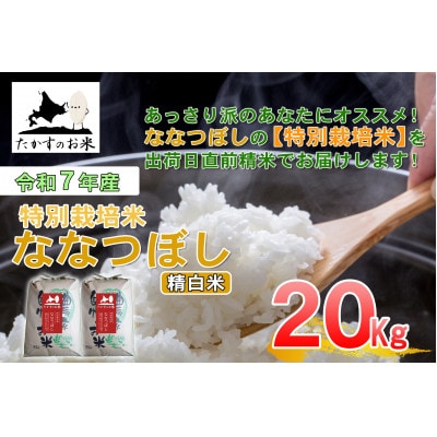 【令和7年産新米予約】たかすのお米 「特別栽培米 ななつぼし」20kg(精白米) SA945