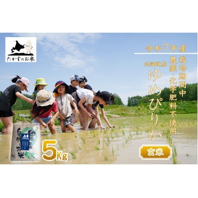 【令和7年産新米予約】北海道産 栽培期間中農薬不使用米「ゆめぴりか」5kg(玄米)